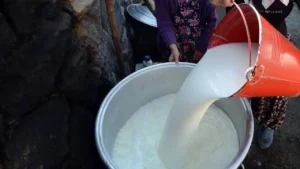 cig sutte yeni tarife belli oldu 1787635 202604301933 20260430193317 1