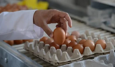 Mutfaklarda bayram havası: Yumurta fiyatları ‘Mayıs Çukuru’na çakıldı!