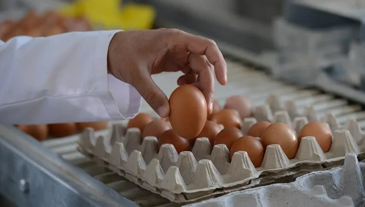 Mutfaklarda bayram havası: Yumurta fiyatları ‘Mayıs Çukuru’na çakıldı!