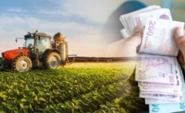 Çiftçiye 1,35 milyar liralık bahar desteği: Ödemeler bugün hesaplarda