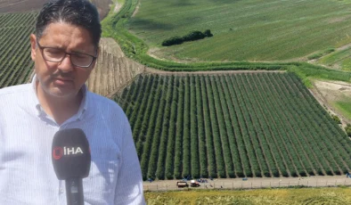 Çukurova’da ezber bozan hasat: İspanya’dan getirdiği fidanlarla Avrupa’ya ihracat kapısını açtı