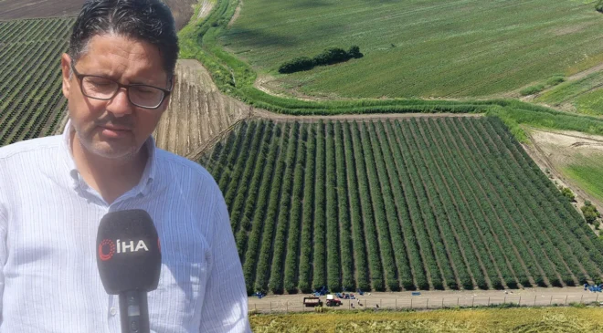 Çukurova’da ezber bozan hasat: İspanya’dan getirdiği fidanlarla Avrupa’ya ihracat kapısını a...