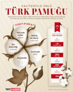 rev TÜRK PAMUĞU1