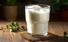 Ayran ve yoğurt üretimi tarihi seviyeye ulaştı