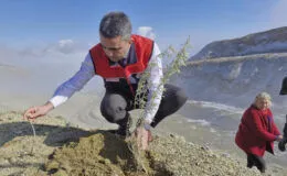 Kurak arazilerde yem maliyetini sıfırlayan bitkiden altı milyon fide toprakla buluşuyor