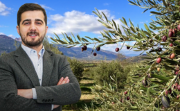 Zeytinlik tapusu olan araziye ev yapılır mı?