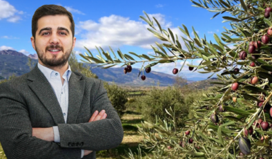 Zeytinlik tapusu olan araziye ev yapılır mı?
