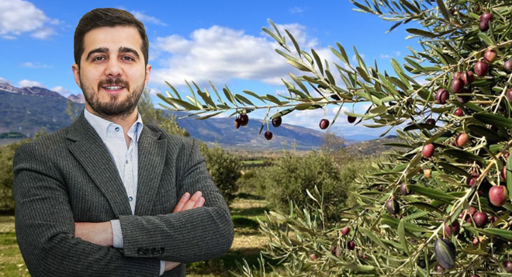 Zeytinlik tapusu olan araziye ev yapılır mı?
