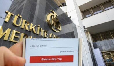 TCMB’nin günlük döviz kurları e-Devlet’ten takip edilebiliyor