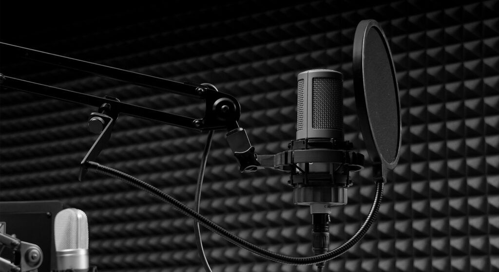 Podcastta yeni dönem: Televizyon ekranları sesli yayıncılığa açılıyor 3 akustik sunger