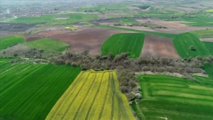 arazi yatirimcisina soguk dus sadece 9 sehir enflasyonu yendi 1794777 202606040919 20260604091922 1