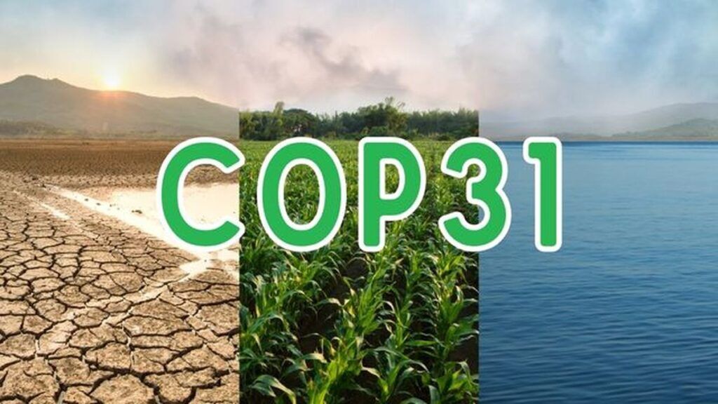 İstanbul Sıfır Atık ve İklim Değişikliği Platformu kuruldu 3 cop31 turkiye nin en pahali vitri ni mi donusum firsati mi 5369 3293 amp