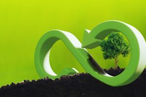csr concept tree with circular economy 1 1170x780 1