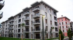 images 19