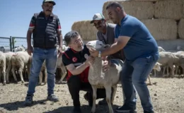 Tarım ve Orman Bakanlığı kırsal kalkınma için dev destek paketini açıkladı