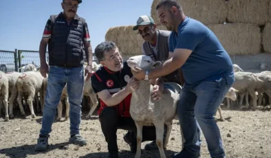 Tarım ve Orman Bakanlığı kırsal kalkınma için dev destek paketini açıkladı