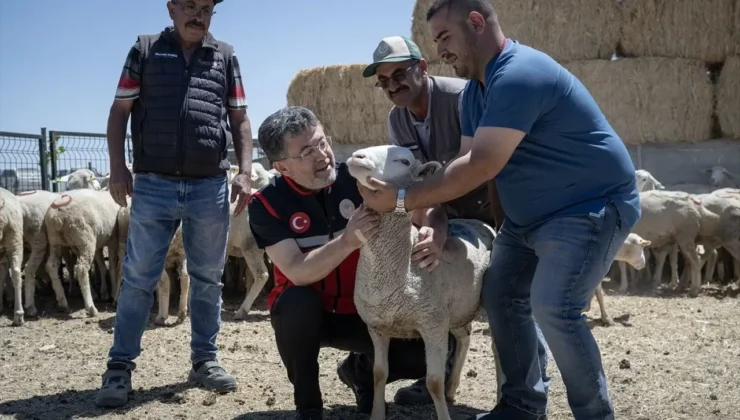 Tarım ve Orman Bakanlığı kırsal kalkınma için dev destek paketini açıkladı