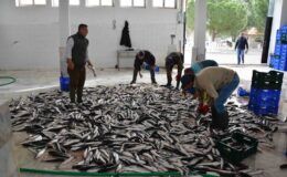 Muğla Türkiye’nin tersine dış ticaret fazlası verdi