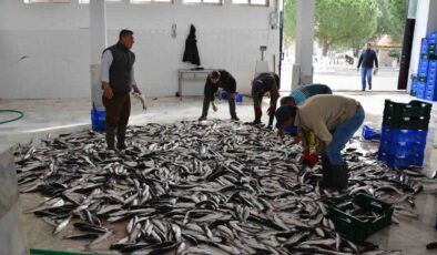Muğla Türkiye’nin tersine dış ticaret fazlası verdi