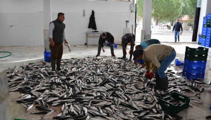Muğla Türkiye’nin tersine dış ticaret fazlası verdi
