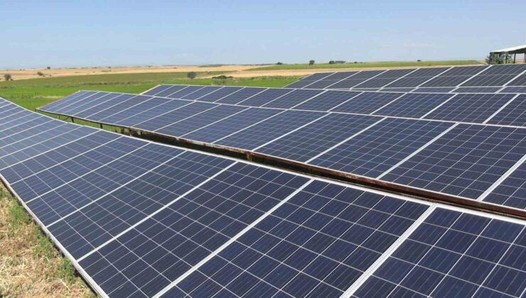 Güneş enerjisi ve dron teknolojisi Edirneli üreticinin verimini artırıyor