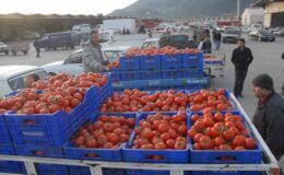Muğla’nın haziran ayı ihracatı 125,9 milyon dolar oldu