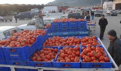 Muğla’nın haziran ayı ihracatı 125,9 milyon dolar oldu
