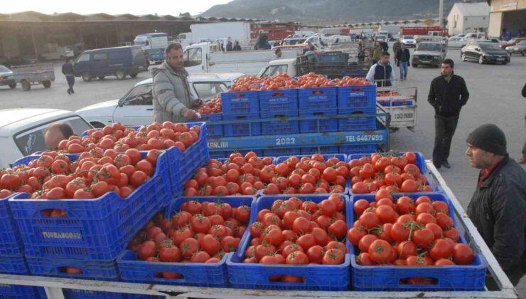 Muğla’nın haziran ayı ihracatı 125,9 milyon dolar oldu