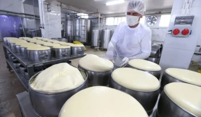 Kars kaşarı Avrupa Birliği tescili yolunda