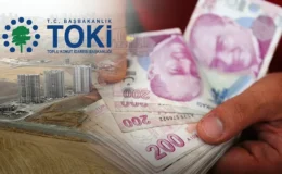 TOKİ 49 ilde 737 arsayı açık artırmayla satışa çıkarıyor