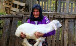 94 yaşında hâlâ dağlarda: Antalya’nın “süper çobanı” Emine Nine 90 yıldır keçilerinin peşinde