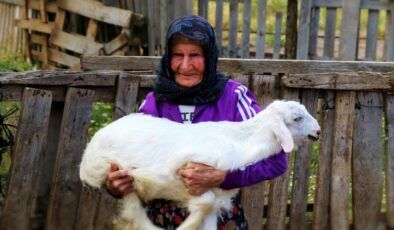 94 yaşında hâlâ dağlarda: Antalya’nın “süper çobanı” Emine Nine 90 yıldır keçilerinin peşinde