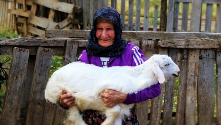94 yaşında hâlâ dağlarda: Antalya’nın “süper çobanı” Emine Nine 90 yıldır keçilerinin peşinde