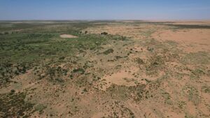 Çin’in yarım asırda diktiği milyarlarca ağaç doğal ormanlardan daha hızlı büyüyor