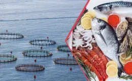 Su ürünleri ve hayvansal mamuller ihracatı 1,9 milyar doları geçti