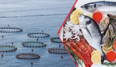 Su ürünleri ve hayvansal mamuller ihracatı 1,9 milyar doları geçti