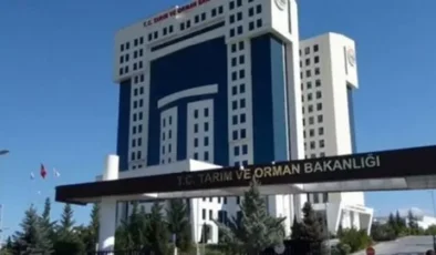 Tarım ve Orman Bakanlığı 1874 sözleşmeli personel alacak