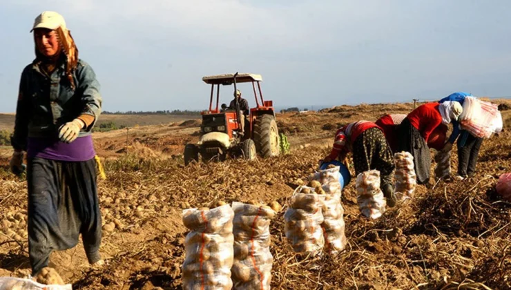 Tarımda KDV düzenlemesi beklentisi