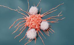 Kanser aşısı devrimi: mRNA kesintilere meydan okuyor