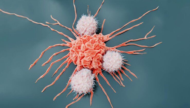 Kanser aşısı devrimi: mRNA kesintilere meydan okuyor