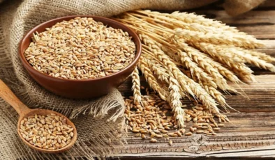 Tahıl piyasasında rekor fiyat artışı