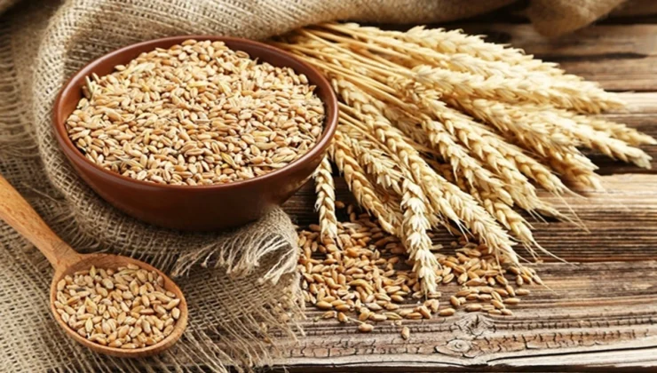 Tahıl piyasasında rekor fiyat artışı
