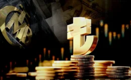Merkez bankası rezervleri 162,6 milyar dolara yükseldi