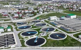 Van’dan ekonomiye yılda 1,5 milyar liralık dev katkı