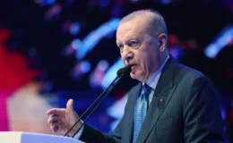 Erdoğan: Savunma kabiliyetlerimizi NATO’nun hizmetine sunuyoruz