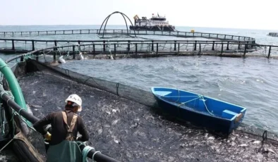 Türk havyarı dünya pazarına hazırlanıyor