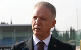Vali Gül: Sahipsiz hayvanların yüzde 65’i toplandı