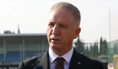 Vali Gül: Sahipsiz hayvanların yüzde 65’i toplandı