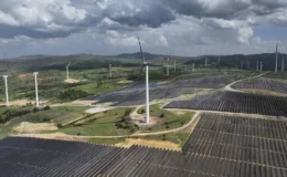 Türkiye’nin elektrifikasyon hedefi küresel destek görüyor
