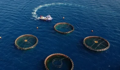 Muğla’dan ihracat rekoru